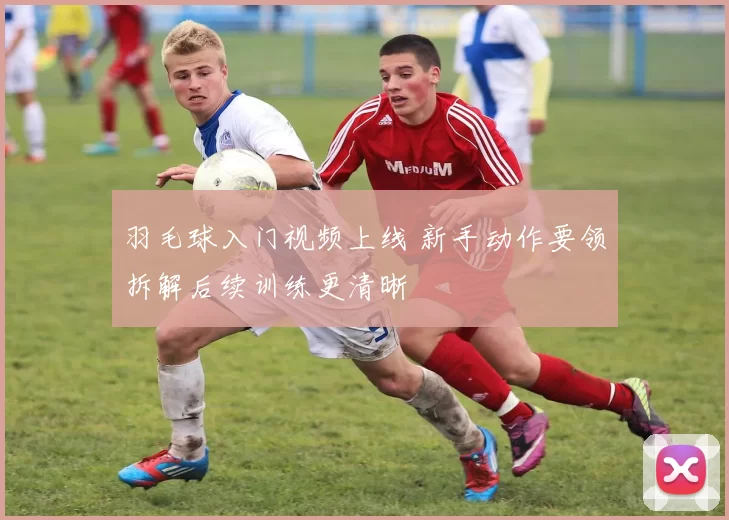 羽毛球入门视频上线 新手动作要领拆解后续训练更清晰